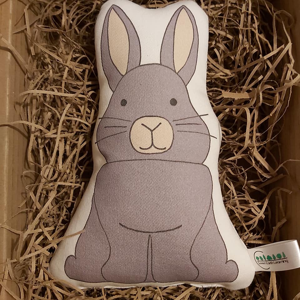 Green Earth Learning Rabbit Soft Toy
